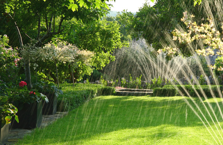 Rasen bewässern mit Wassersprenger
